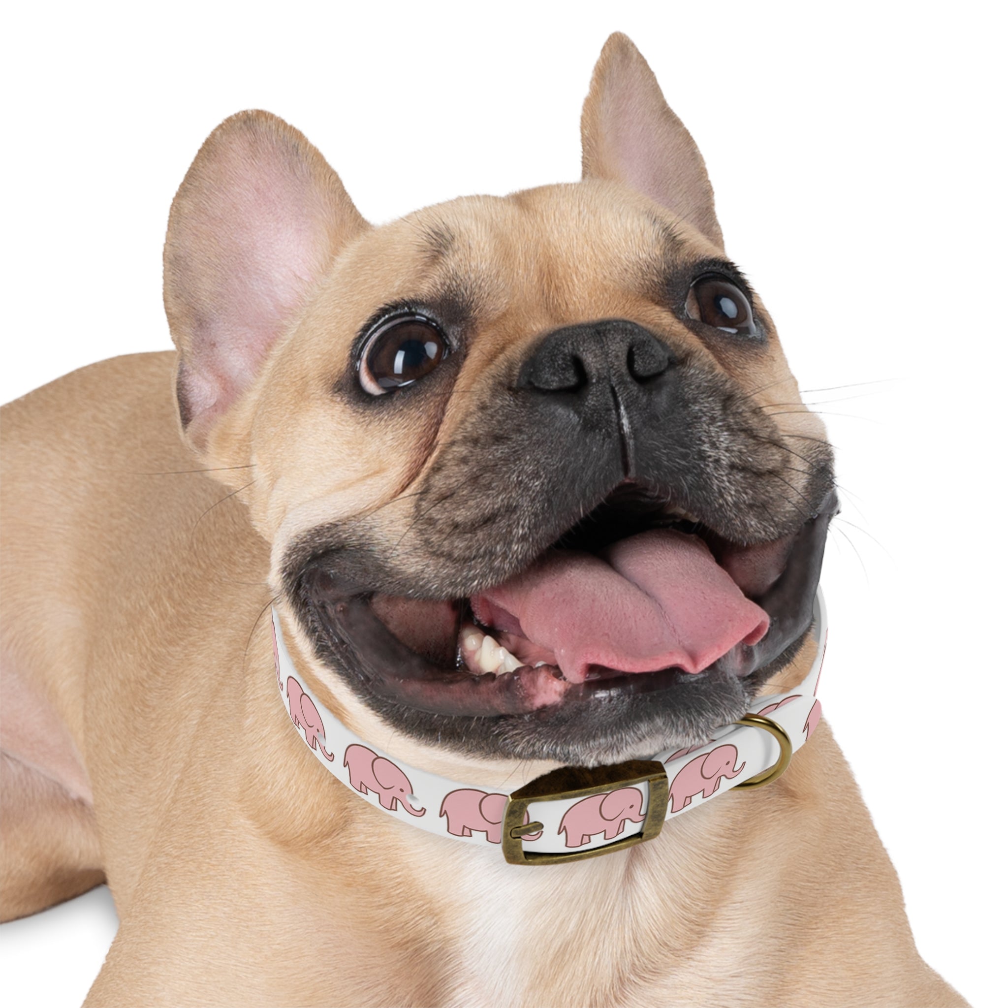 Pink Elephant Dog Collar - Premium Waterproof Pet Collar, Cute Animal Design Gift for Dog Lovers